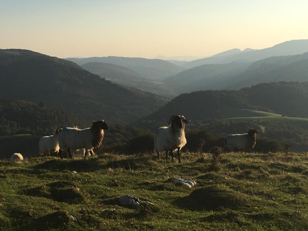 Selbaondoa, Casa Con Patio En El Prepirineo Navarro Lumbier Eksteriør billede
